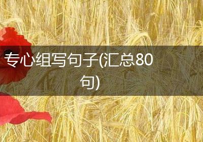 专心组写句子(汇总80句)