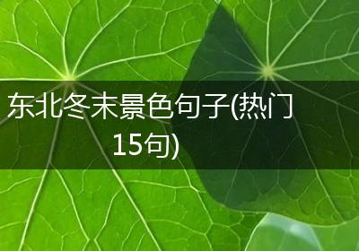 东北冬末景色句子(热门15句)