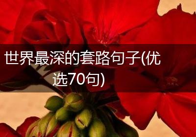 世界最深的套路句子(优选70句)