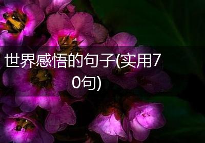 世界感悟的句子(实用70句)