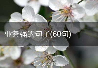 业务强的句子(60句)