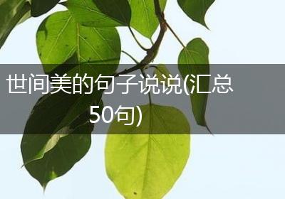 世间美的句子说说(汇总50句)