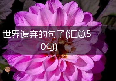 世界遗弃的句子(汇总50句)