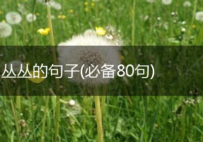 丛丛的句子(必备80句)