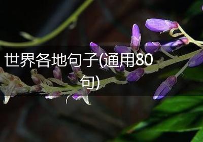 世界各地句子(通用80句)