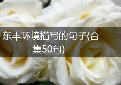 东丰环境描写的句子(合集50句)