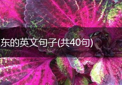 东的英文句子(共40句)