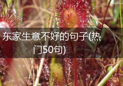 东家生意不好的句子(热门50句)