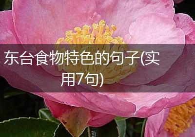 东台食物特色的句子(实用7句)