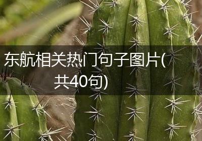 东航相关热门句子图片(共40句)