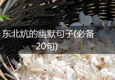 东北炕的幽默句子(必备20句)