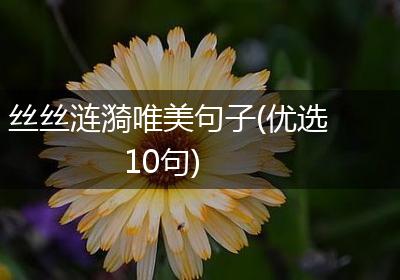 丝丝涟漪唯美句子(优选10句)