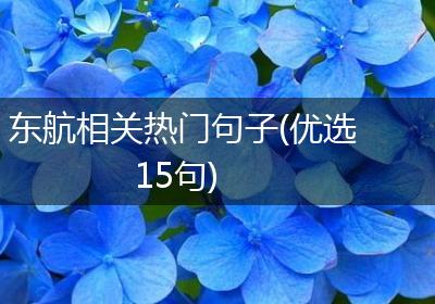 东航相关热门句子(优选15句)