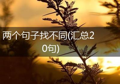 两个句子找不同(汇总20句)