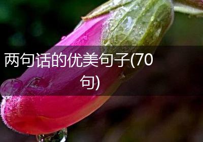 两句话的优美句子(70句)