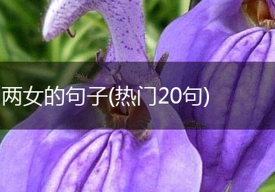 两女的句子(热门20句)