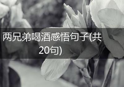 两兄弟喝酒感悟句子(共20句)