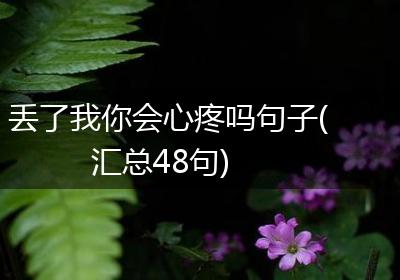 丢了我你会心疼吗句子(汇总48句)