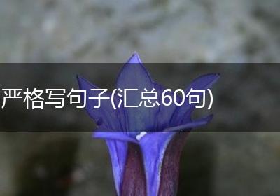 严格写句子(汇总60句)