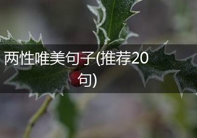 两性唯美句子(推荐20句)