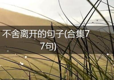 不舍离开的句子(合集77句)