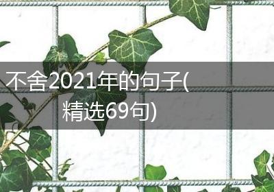 不舍2021年的句子(精选69句)