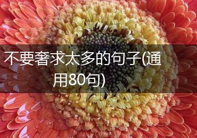 不要奢求太多的句子(通用80句)