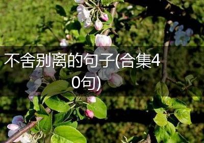 不舍别离的句子(合集40句)