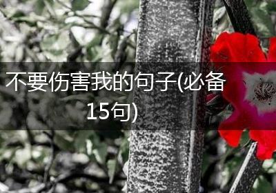 不要伤害我的句子(必备15句)