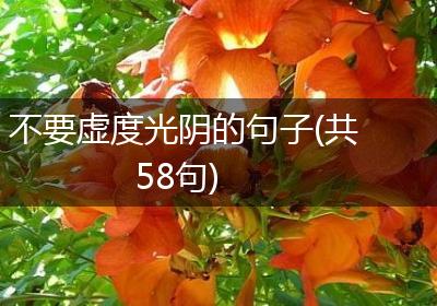不要虚度光阴的句子(共58句)