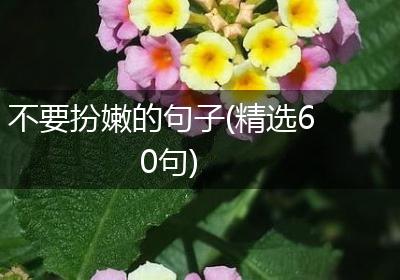 不要扮嫩的句子(精选60句)