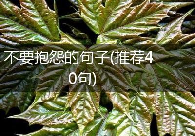 不要抱怨的句子(推荐40句)