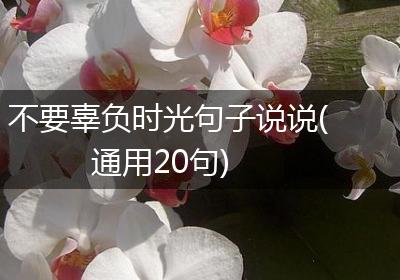 不要辜负时光句子说说(通用20句)