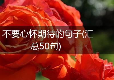 不要心怀期待的句子(汇总50句)