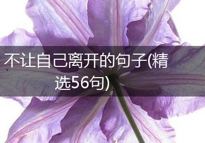 不让自己离开的句子(精选56句)