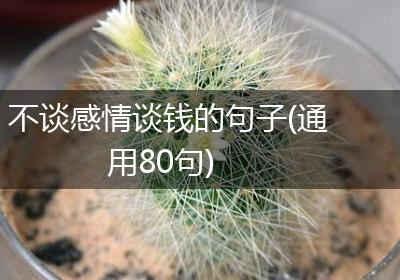 不谈感情谈钱的句子(通用80句)