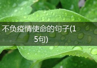 不负疫情使命的句子(15句)