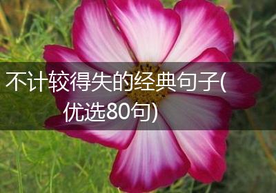 不计较得失的经典句子(优选80句)