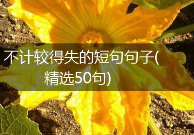 不计较得失的短句句子(精选50句)