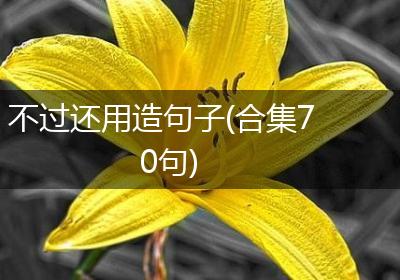 不过还用造句子(合集70句)