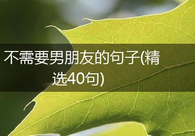不需要男朋友的句子(精选40句)
