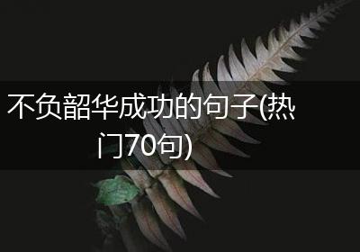 不负韶华成功的句子(热门70句)