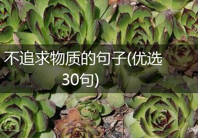 不追求物质的句子(优选30句)