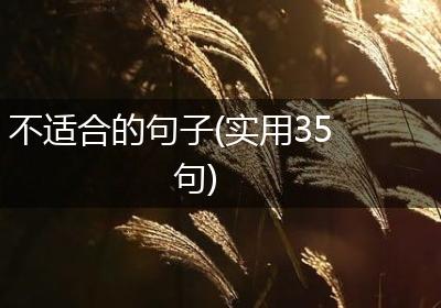 不适合的句子(实用35句)