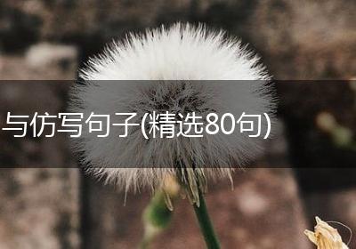 与仿写句子(精选80句)