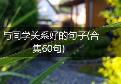 与同学关系好的句子(合集60句)