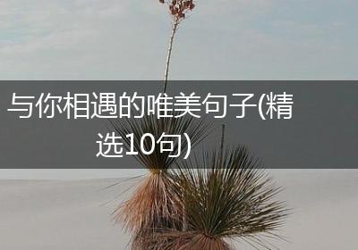 与你相遇的唯美句子(精选10句)