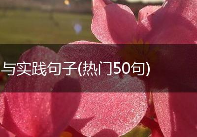 与实践句子(热门50句)