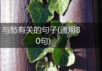 与愁有关的句子(通用80句)