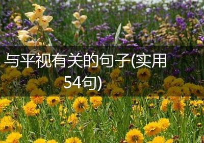 与平视有关的句子(实用54句)